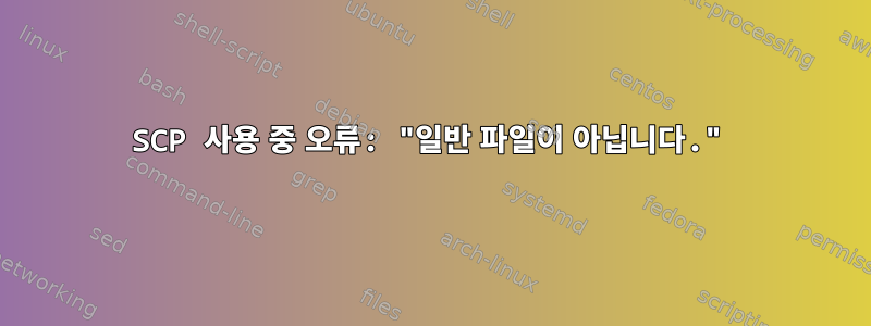 SCP 사용 중 오류: "일반 파일이 아닙니다."