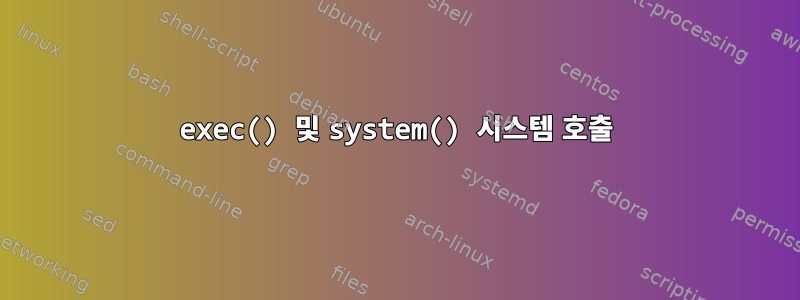 exec() 및 system() 시스템 호출