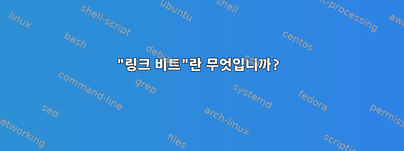 "링크 비트"란 무엇입니까?