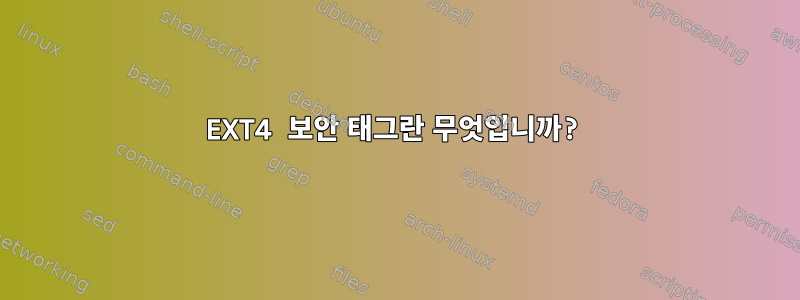 EXT4 보안 태그란 무엇입니까?