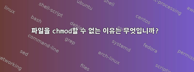 파일을 chmod할 수 없는 이유는 무엇입니까?