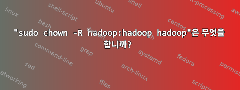 "sudo chown -R hadoop:hadoop hadoop"은 무엇을 합니까?