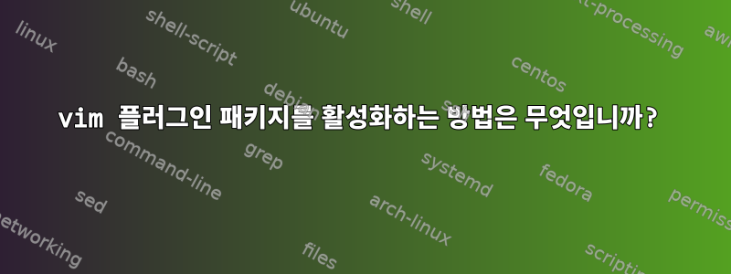 vim 플러그인 패키지를 활성화하는 방법은 무엇입니까?