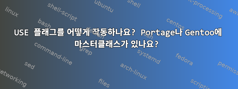 USE 플래그를 어떻게 작동하나요? Portage나 Gentoo에 마스터클래스가 있나요?