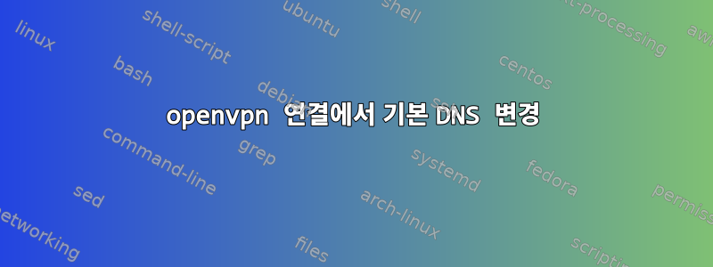 openvpn 연결에서 기본 DNS 변경