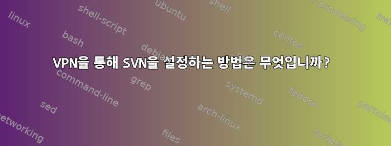 VPN을 통해 SVN을 설정하는 방법은 무엇입니까?