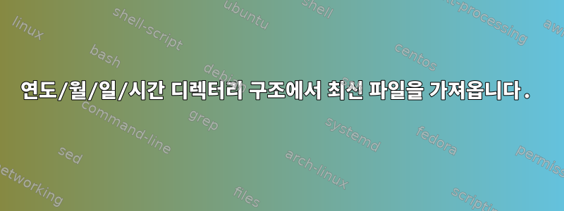 연도/월/일/시간 디렉터리 구조에서 최신 파일을 가져옵니다.