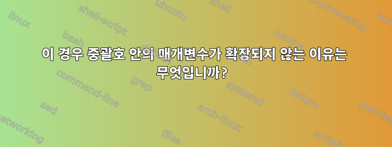 이 경우 중괄호 안의 매개변수가 확장되지 않는 이유는 무엇입니까?