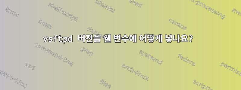 vsftpd 버전을 쉘 변수에 어떻게 넣나요?