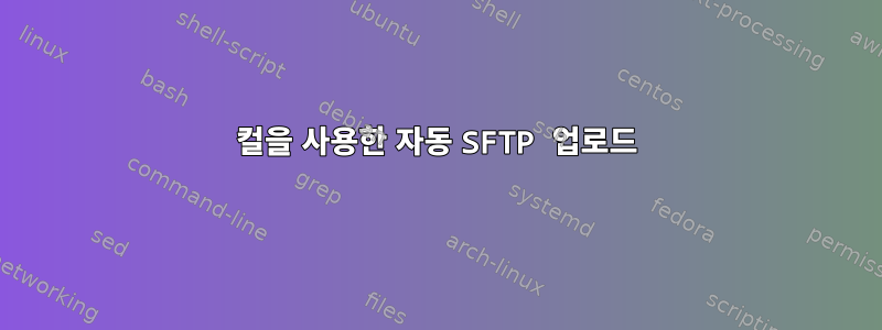 컬을 사용한 자동 SFTP 업로드