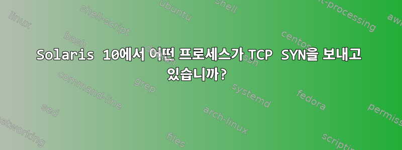 Solaris 10에서 어떤 프로세스가 TCP SYN을 보내고 있습니까?