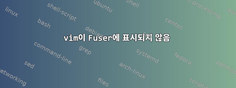 vim이 Fuser에 표시되지 않음