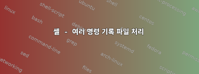 셸 - 여러 명령 기록 파일 처리