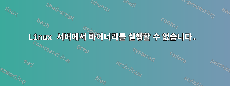 Linux 서버에서 바이너리를 실행할 수 없습니다.