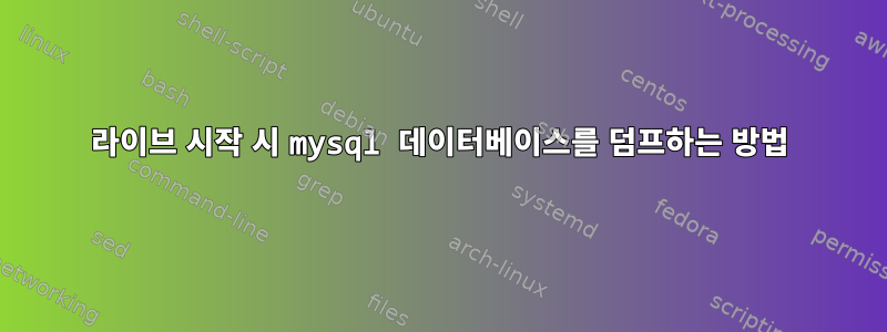 라이브 시작 시 mysql 데이터베이스를 덤프하는 방법