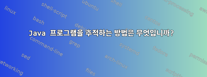 Java 프로그램을 추적하는 방법은 무엇입니까?