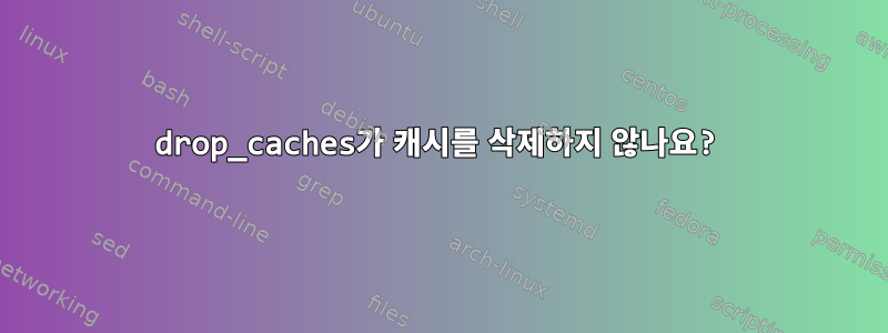 drop_caches가 캐시를 삭제하지 않나요?