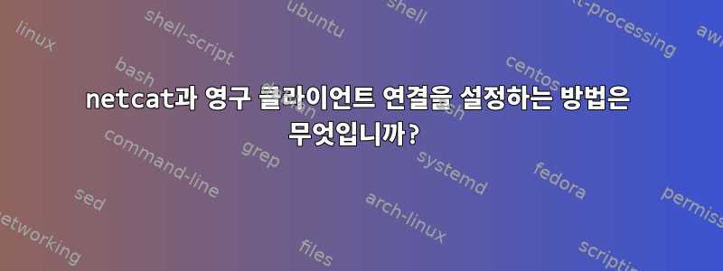 netcat과 영구 클라이언트 연결을 설정하는 방법은 무엇입니까?