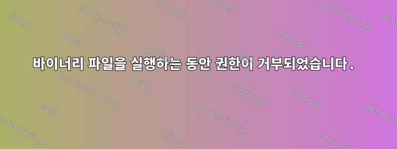 바이너리 파일을 실행하는 동안 권한이 거부되었습니다.