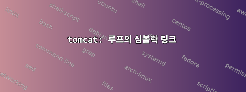 tomcat: 루프의 심볼릭 링크