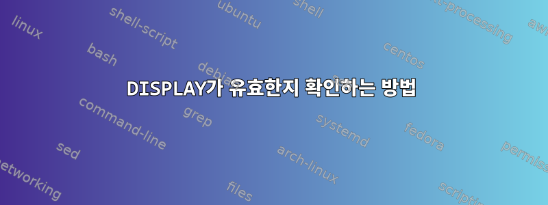 DISPLAY가 유효한지 확인하는 방법