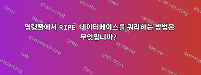 명령줄에서 RIPE 데이터베이스를 쿼리하는 방법은 무엇입니까?