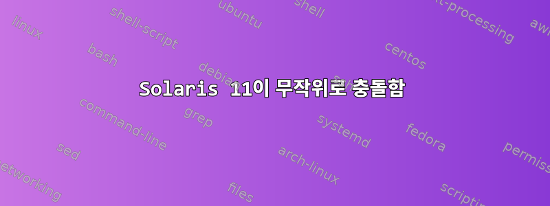 Solaris 11이 무작위로 충돌함