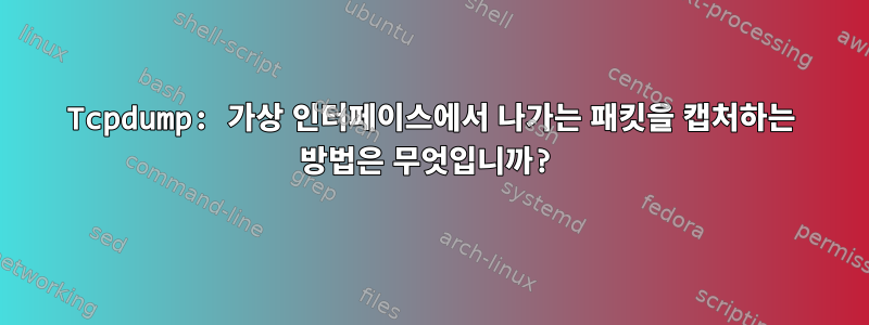 Tcpdump: 가상 인터페이스에서 나가는 패킷을 캡처하는 방법은 무엇입니까?