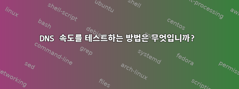 DNS 속도를 테스트하는 방법은 무엇입니까?