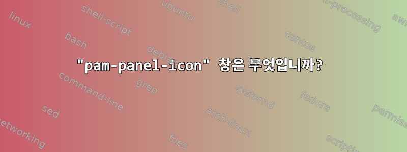 "pam-panel-icon" 창은 무엇입니까?