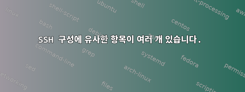 SSH 구성에 유사한 항목이 여러 개 있습니다.