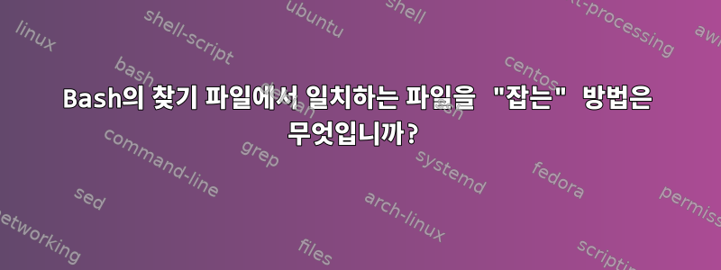 Bash의 찾기 파일에서 일치하는 파일을 "잡는" 방법은 무엇입니까?