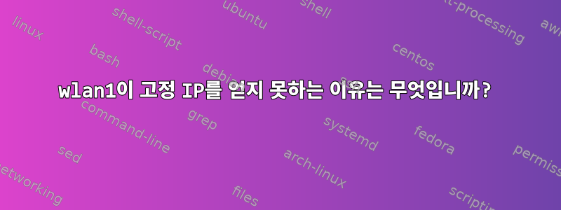 wlan1이 고정 IP를 얻지 못하는 이유는 무엇입니까?