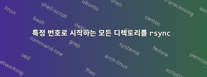 특정 번호로 시작하는 모든 디렉토리를 rsync