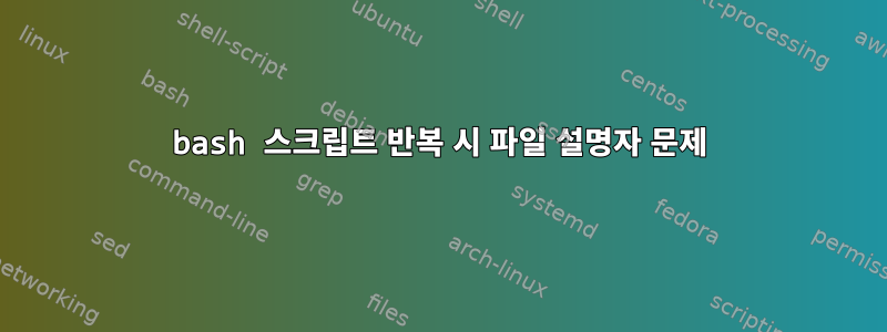 bash 스크립트 반복 시 파일 설명자 문제