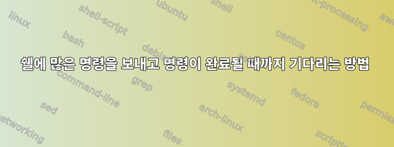 쉘에 많은 명령을 보내고 명령이 완료될 때까지 기다리는 방법