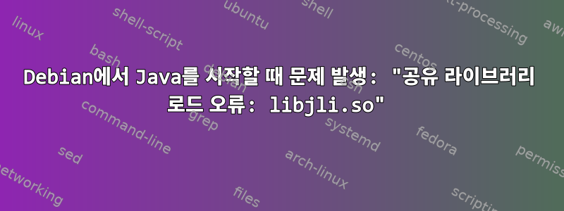 Debian에서 Java를 시작할 때 문제 발생: "공유 라이브러리 로드 오류: libjli.so"