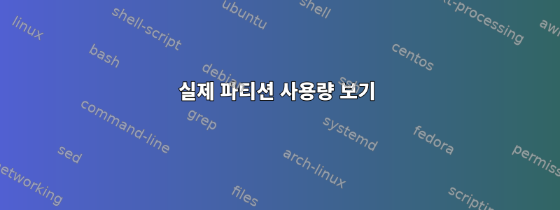 실제 파티션 사용량 보기