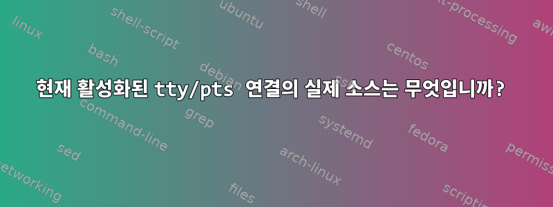 현재 활성화된 tty/pts 연결의 실제 소스는 무엇입니까?