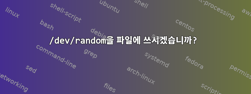 /dev/random을 파일에 쓰시겠습니까?