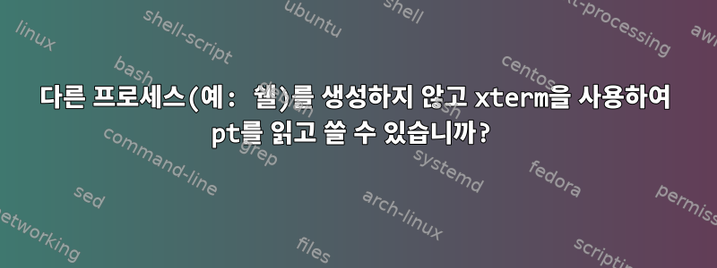 다른 프로세스(예: 쉘)를 생성하지 않고 xterm을 사용하여 pt를 읽고 쓸 수 있습니까?