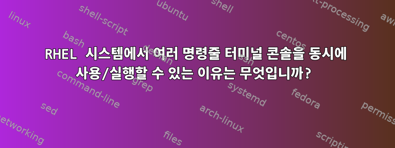 RHEL 시스템에서 여러 명령줄 터미널 콘솔을 동시에 사용/실행할 수 있는 이유는 무엇입니까?