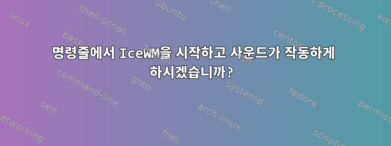 명령줄에서 IceWM을 시작하고 사운드가 작동하게 하시겠습니까?