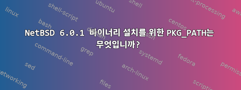 NetBSD 6.0.1 바이너리 설치를 위한 PKG_PATH는 무엇입니까?