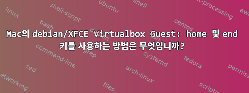 Mac의 debian/XFCE Virtualbox Guest: home 및 end 키를 사용하는 방법은 무엇입니까?