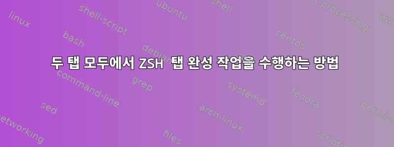 두 탭 모두에서 ZSH 탭 완성 작업을 수행하는 방법