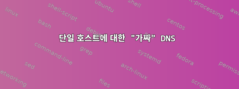 단일 호스트에 대한 "가짜" DNS