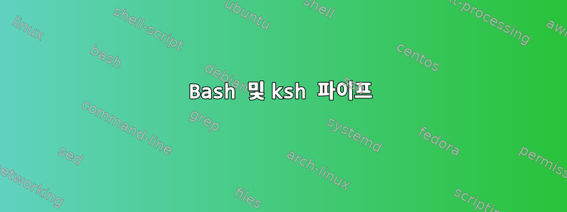 Bash 및 ksh 파이프