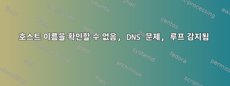 호스트 이름을 확인할 수 없음, DNS 문제, 루프 감지됨