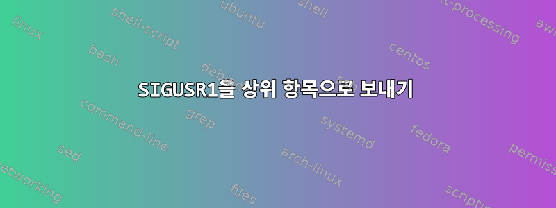 SIGUSR1을 상위 항목으로 보내기